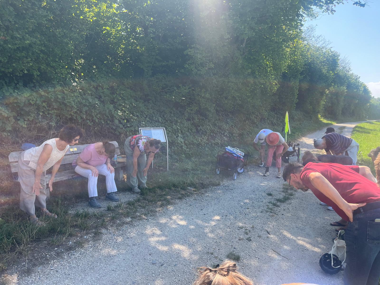 Yoga Trail - Übung 5 - Yoga Hilft am See